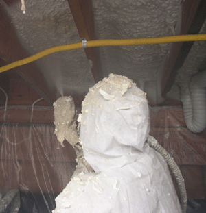 Albany NY crawl space insulation