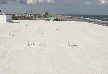 cool roof coatings in Albany